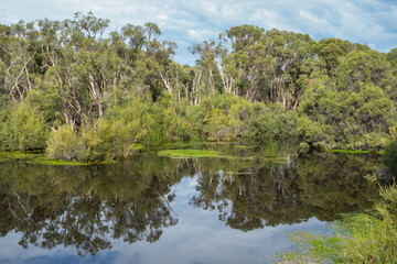 Herdsman Lake in Perth - 640104420