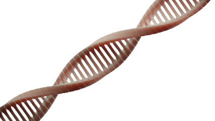 Dna helix isolated 3d rendering. Dna helix structure isolated