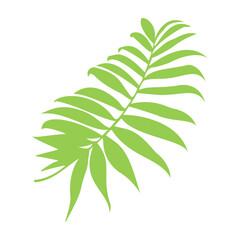 illustration of a tropical leaf