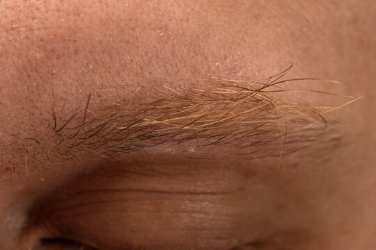 Sterczące męskie brwi z bliska