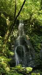 Naklejka premium Waterfall deep in the mountains