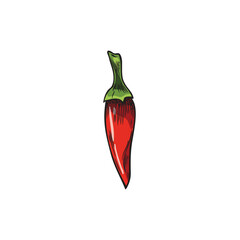 Red chili pepper in hand drawn sketch style, vector illustration isolated on white background.