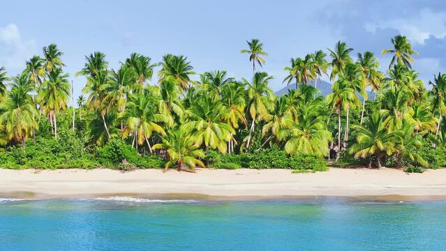 Beautiful tropical beach landscape with palm trees on white sand against a blue sky with clouds. Paradise island on a sunny summer day. Romantic idealistic image of an exotic beach holiday.