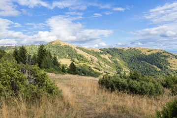 Fototapeta na wymiar Summer nature mountains landscape. Scenery of green hills and fields. Beautiful blue sky with clouds. Panoramic view of Mountain Kopaonik, Serbia, Europe.