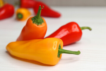 Vibrant chilli peppers. Assorted colorful varieties of hot and sweet peppers or chilies on a farm background. copy space. 