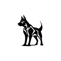 black and white dog