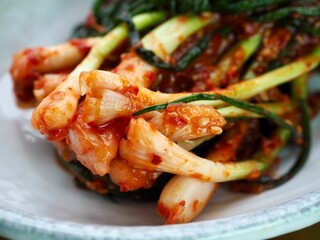한국 전통음식 파 김치
