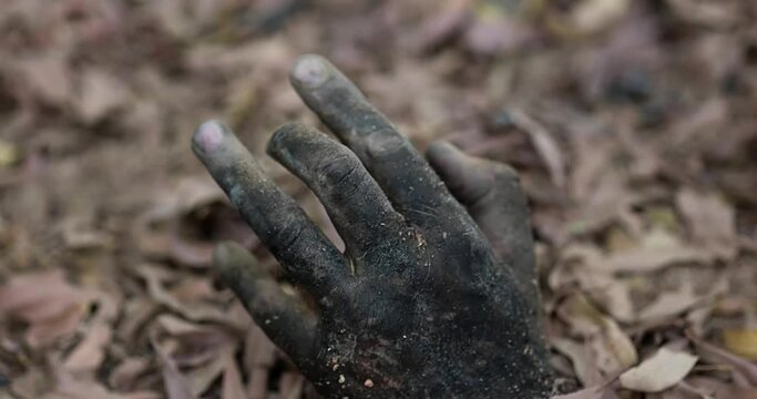 Halloween dirty zombie hand crawls out of the ground