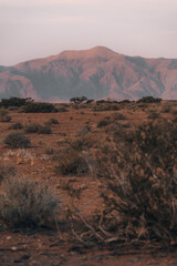 Beautiful landscape in Namibia during sunset, golden hour
