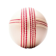 Macro of a cricket ball isolated on white