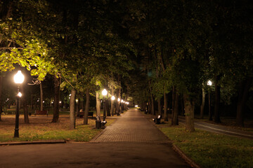 Obraz premium view of the night city, lights of lamps and park in the dark