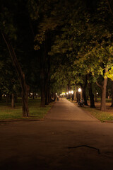 view of the night city, lights of lamps and park in the dark