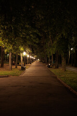 view of the night city, lights of lamps and park in the dark