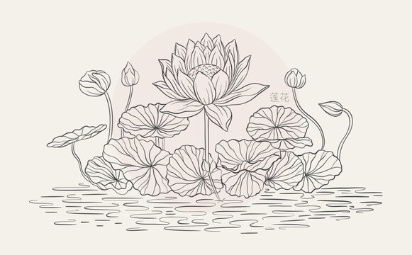 lotus flowers line art on water clip art preview