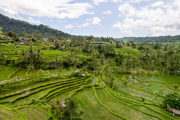 Fototapeta na wymiar Aerial sunrise view of green rice fields close to Sidemen in Bali, Indonesia 