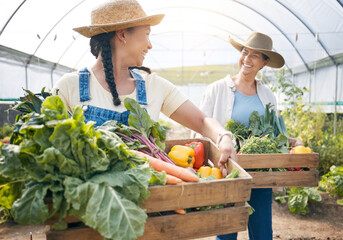 Teamwork, agriculture and vegetable farming in a greenhouse for harvest and sustainability. Farmer...