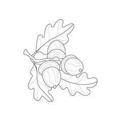 Twig with acorns and leaves. Simple black and white vector image. Coloring book for children.