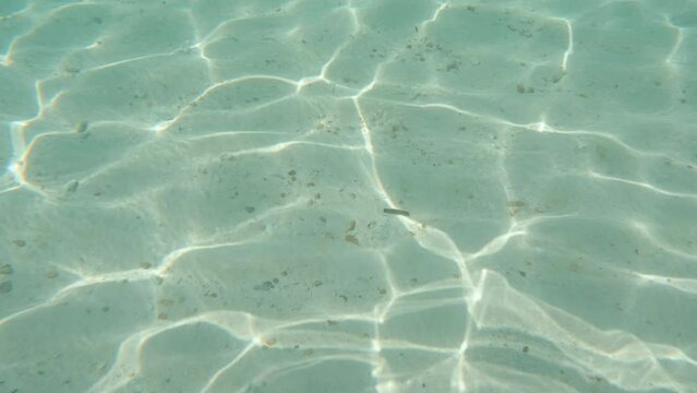 Cinematic slow motion shot of water caustics with sandy sea floor beneath, 4K