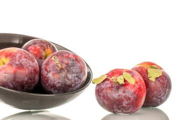 Several sweet organic red apples in a ceramic black plate, macro, isolated on white background.