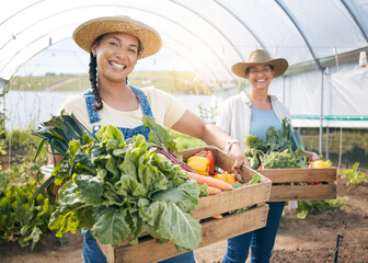 Agriculture, teamwork and vegetable farming in a greenhouse for sustainability. Portrait of farmer people or women together on a farm for eco lifestyle, agro startup or organic food for wellness