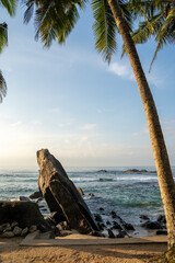 Tropical sunrise in Unawatuna, Mirissa, Sri Lanka, beach, palm trees and ocean