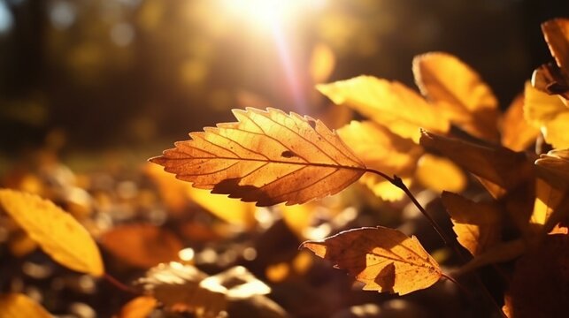 Autumn's Dance Vibrant Backlit Leaves in Motion