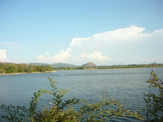 landscape with lake