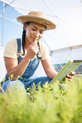 Woman, gardening and smell plants in greenhouse with tablet for agriculture, farming or...