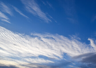 Naklejka na ściany i meble Peaceful blue sky with light clouds