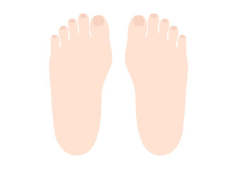 Simple vector illustration of two feet
