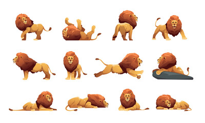 Lion collection. Cartoon male jungle cats in different poses, cute big cats with fur and tails safari wildlife icons, savana predator animal. Vector isolated set