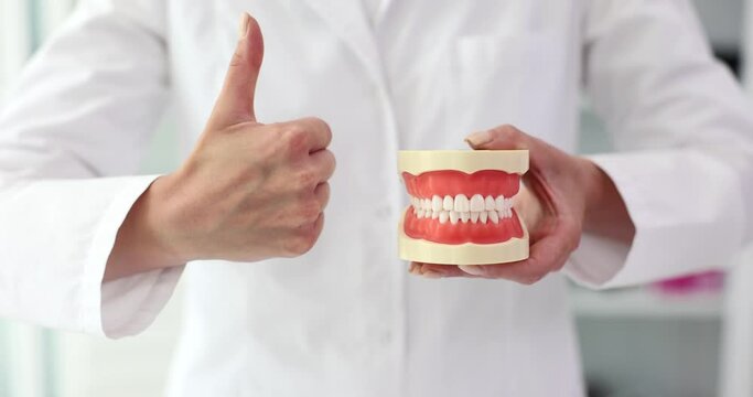 Dentist is holding prosthesis and showing thumbs up. Dentistry and approved dental services