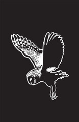 Fototapeta na wymiar Graphical owl isolated on black,vector illustration. Nightbird,symbol of wise and education