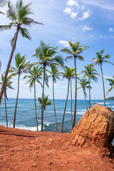 Famous Coconut Tree Hill in Mirissa, Sri Lanka Beach next to the Indian Ocean