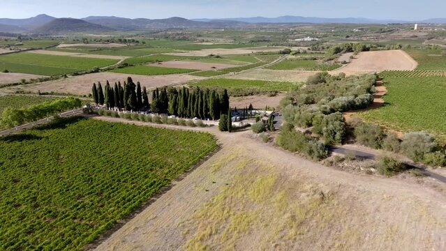 Landscape with vineyards, aerial view abobe cemetery, dry weather, it's hot in the south of France