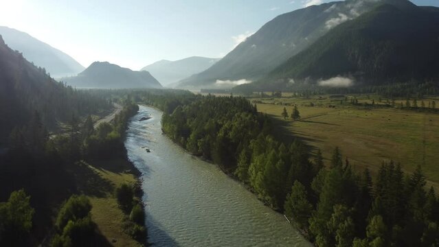 Aerial view of mountain river Katun in Altai region. River flowing through mountains in summer. 