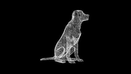 Fototapeta premium 3D sitting dog on black background. Gold labrador dog breathing with open mouth. For title, text, presentation. 3d animation.
