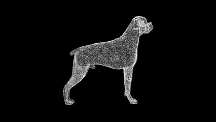 3D dog on black background. For title, text, presentation. 3d animation.