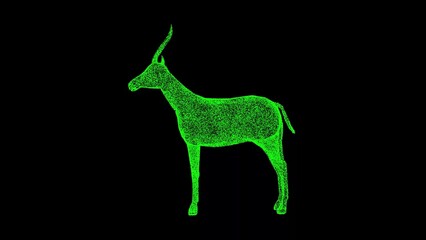 3D Gazelle on black bg. Wild animals concept. Business advertising backdrop. For title, text, presentation. 3d animation.