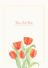 Manual painted of orange tulip flower watercolor as background frame.
