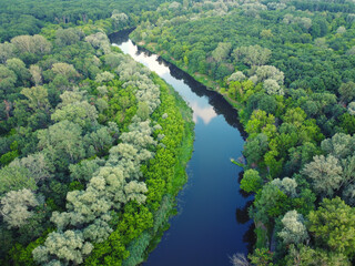 Aerial landscape with river and green forest - 640143235