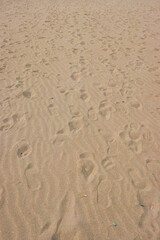 Abstract background beach sand with foot print marks