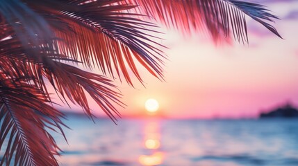 Close up of palm leaves with sunset sea in soft tones. Beautiful nature background.