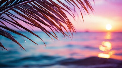 Fototapeta na wymiar Close up of palm leaves with sunset sea in soft tones. Beautiful nature background.