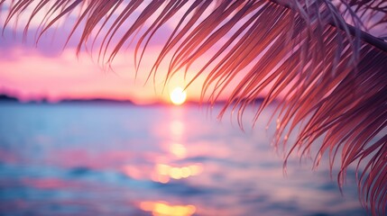Fototapeta na wymiar Close up of palm leaves with sunset sea in soft tones. Beautiful nature background.