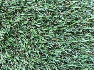 Green artificial grass background. Artificial turf stadium texture.
