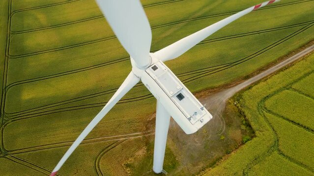 Wind turbines produce energy in wheat field close up, modern green renewable plant. Electricity, ecological saving and alternative power source