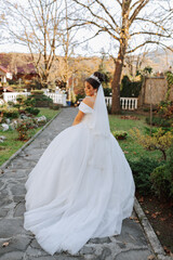 The bride portrait in the autumn forest. Bride in wedding dress on natural background. Wedding day.