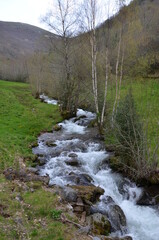 Arroyo de montaña en los Ancares