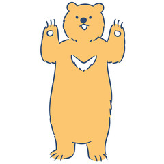 Bear cartoon illustration